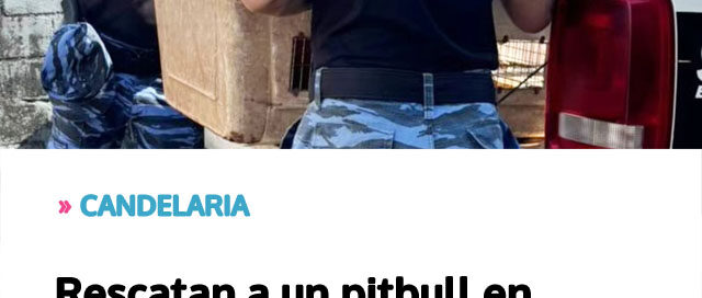 CANDELARIA: Rescatan a un pitbull en estado de maltrato gracias al aviso de vecinos