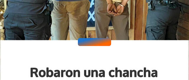 Robaron una chancha preñada, la ocultaron en el monte y terminaron detenidos en Pozo Azul